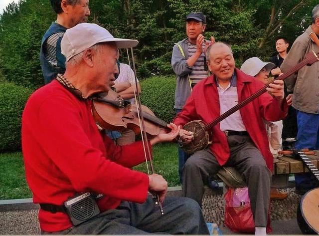 荷兰的国花是什么花，荷兰的国花是什么（荷兰的国花是什么花,也被称为什么）