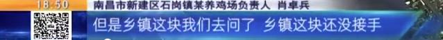 养鸡场投资多少钱，养1000只鸡需投资多少（男子投资200万元的养鸡场）