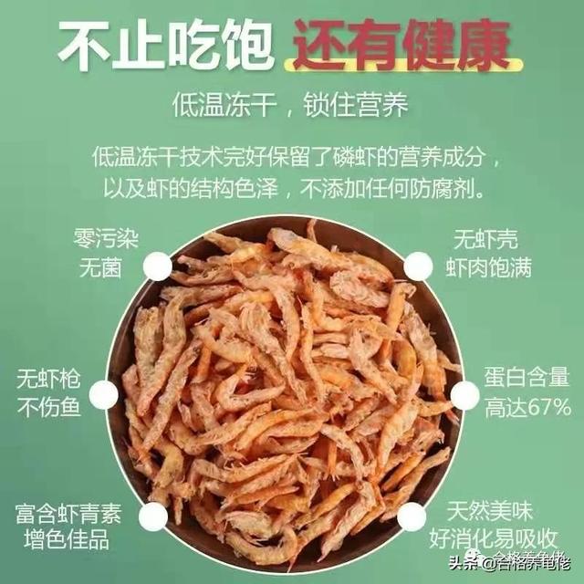 乌龟吃什么东西长得快，乌龟吃什么长得快（“干”类食物，喂龟该怎么选）