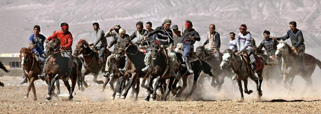 用马字组词有什么，马字组词还有什么（拍马“留序”摄影浅谈）
