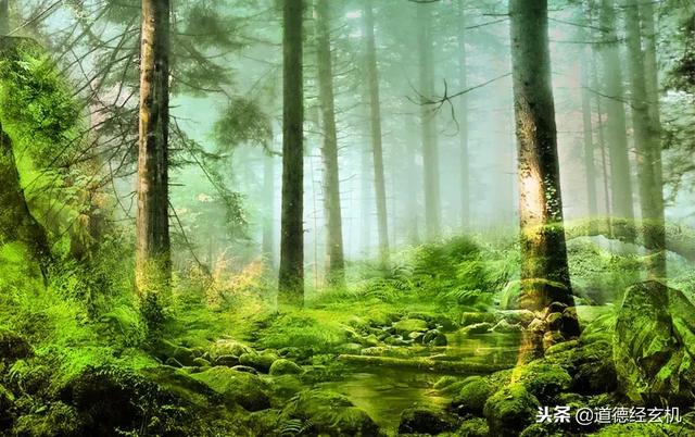 善有善报的经典语录(古训:心存善念) 善有善报的经典语录(古训:心存善念)