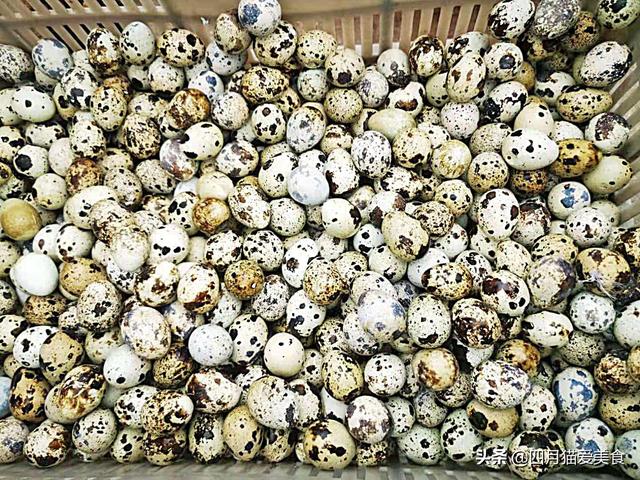 如何做水煮鹌鹑蛋，教你鹌鹑蛋这样吃