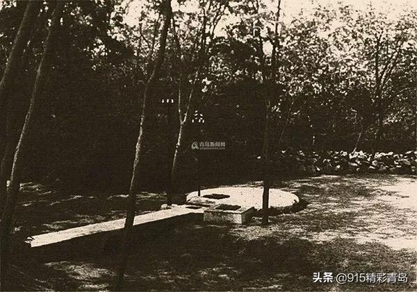 崂山位于青岛的哪边，青岛崂山在什么位置（为什么“崂山区”是青岛独特的存在）