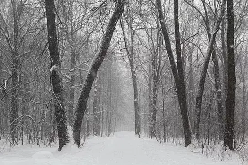 在古代可以用什么词代替雪，在古代对雪的称谓还有哪些（看看古人对雪的24种雅称）