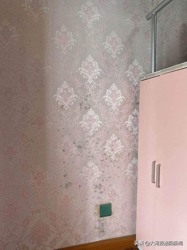 发霉的房间住一天对人的影响，除霉的最好方法（洛阳东方今典天汇中心居民看到屋内这一幕惊了）