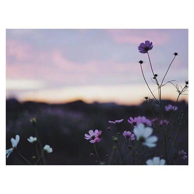 女生霸气高冷句子精选36句，高冷霸气的女生语录