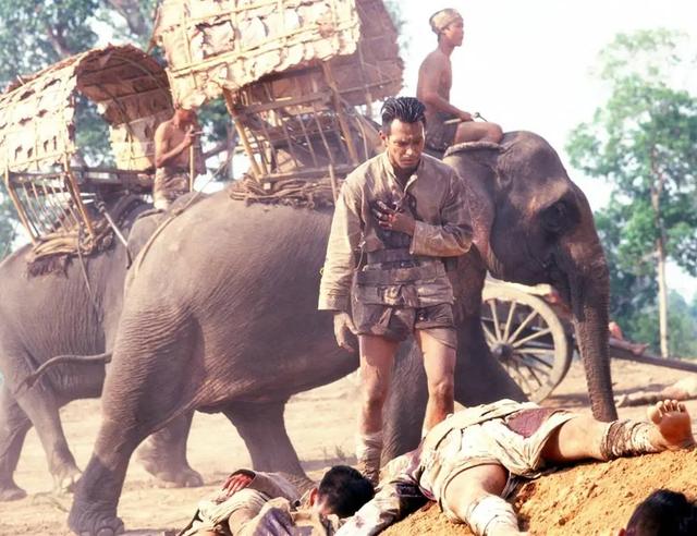 鬼片排行榜前十名，恐怖电影排行榜前十名（《厉鬼将映》未进前三）