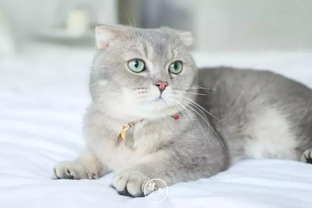 厦门双子塔图片，厦门双子塔附近海边旅游攻略（整个夏天想和你环游世界~）