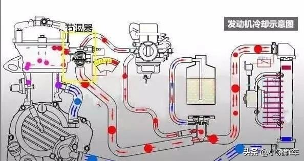 节温器的作用及原理是什么，节温器的作用及原理是什么呢（修理工的技能必修课——节温器）