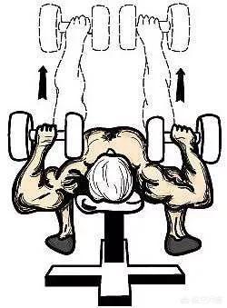 什么是离心训练，什么是离心训练和向心训练（要了解什么叫离心收缩和向心收缩）