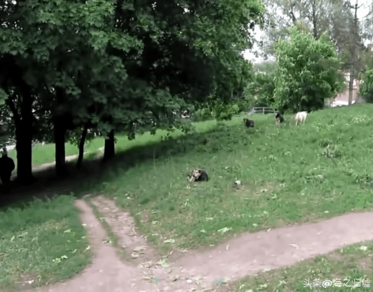 让外国人爱不释手的中国商品，物美价廉赢全世界消费者喜爱