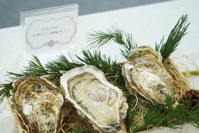 生蚝几月份最好吃，生蚝哪个地方不能吃（乳山生蚝几月份最好吃）