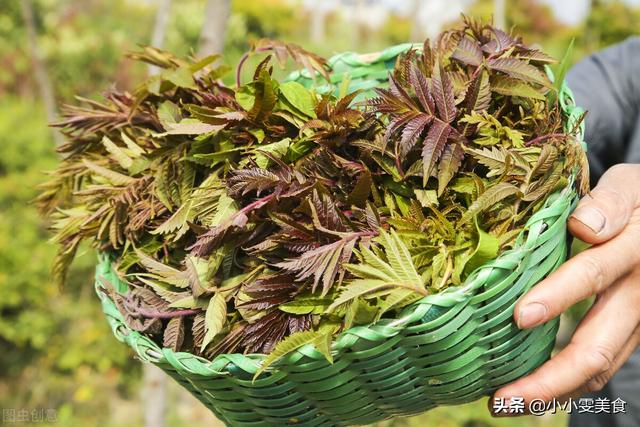 吃香椿的禁忌吃香椿要注意 吃香椿的禁忌介绍，吃香椿的禁忌吃香椿要注意（吃香椿时有“3忌”）