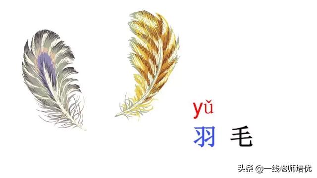 音序是什么?音节又是什么，音序是什么（小学汉语拼音——整体认读音节）