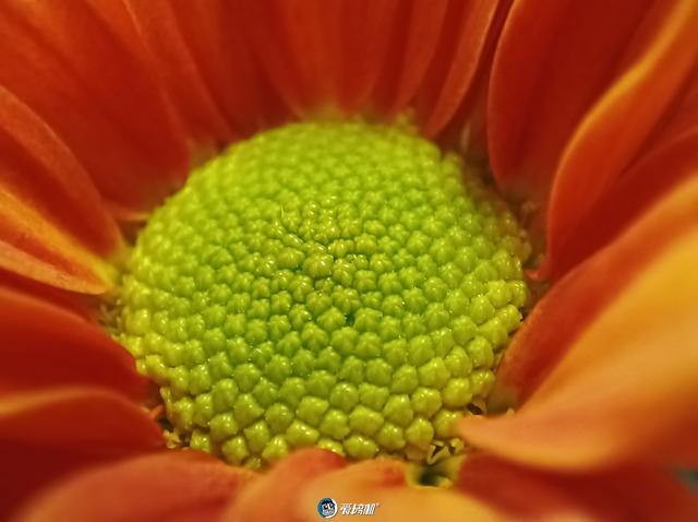 香炸了！红米Redmi K30至尊纪念版体验评测