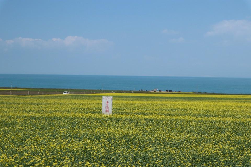 青海湖旅游攻略（想玩转青海湖，看这一篇就够了）