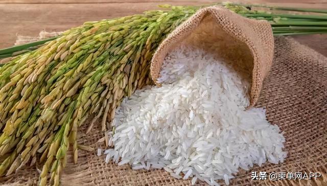 cambodia是哪个国家，cambodia是哪个国家货币2000（这是我的最新简历）