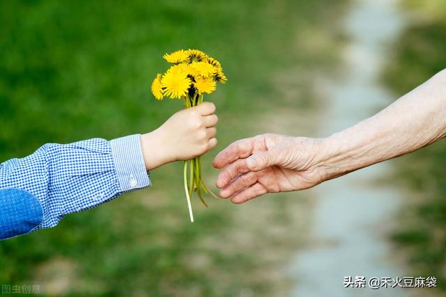 修炼爱情的心酸，修炼爱情的心酸简谱（修炼爱情的心酸下一句图片）