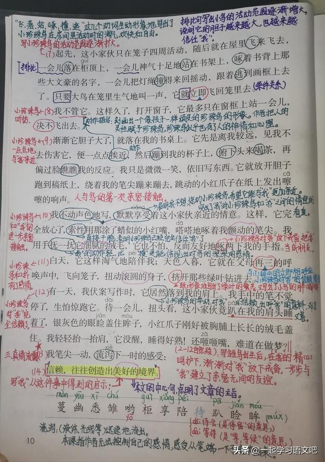 睑怎么读，睑怎么读（睑字组词（部编版语文五年级上册第四课《珍珠鸟》课文导读）