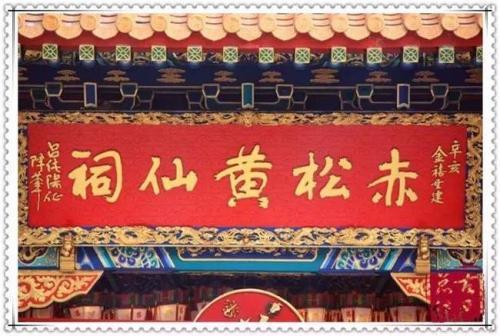 植物神调胶囊，植物神调胶囊的功效（东北的野生动物太“硬核”了）