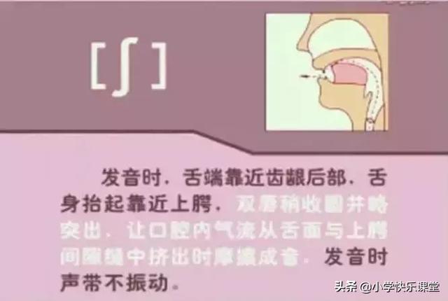 音标读音表发音教学，音素表怎么写（48个国际英语音标发音表及口型）