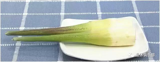 高丽菜是什么，高丽菜是什么季节（这些蔬菜界的“双胞胎”你分得清吗）