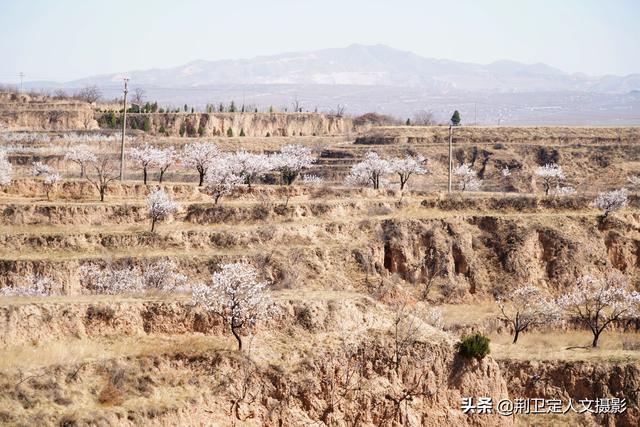 杏花村在山西的哪里，山西有没有杏花村（山西运城发现1个杏花村）