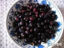 白牛胆的功效与作用，白牛胆的功效与作用禁忌（中药图片大全与功效）