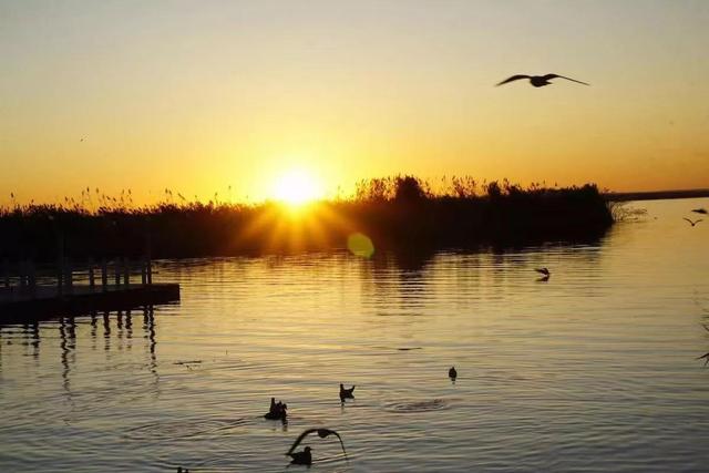 什么是文化的定义，什么是文化的定义和内涵（学历是否就能提现自己的“文化”）