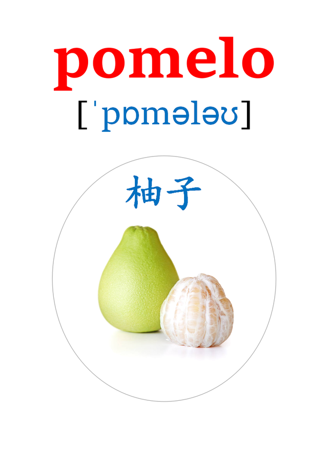 橘子的英语怎么读,橘子的英文怎么读(apple,orange,pear)