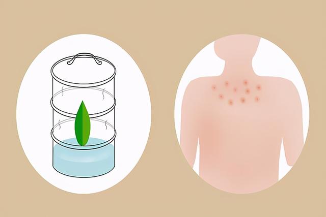 艾叶煮鸡蛋的正确方法，艾叶煮鸡蛋的正确做法（一天一个艾叶煮鸡蛋）