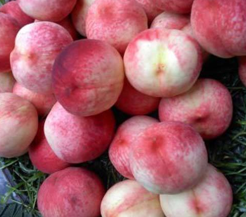 黄桃果酱怎么做，黄桃果酱做什么好吃（跟着大厨做“果酱”）