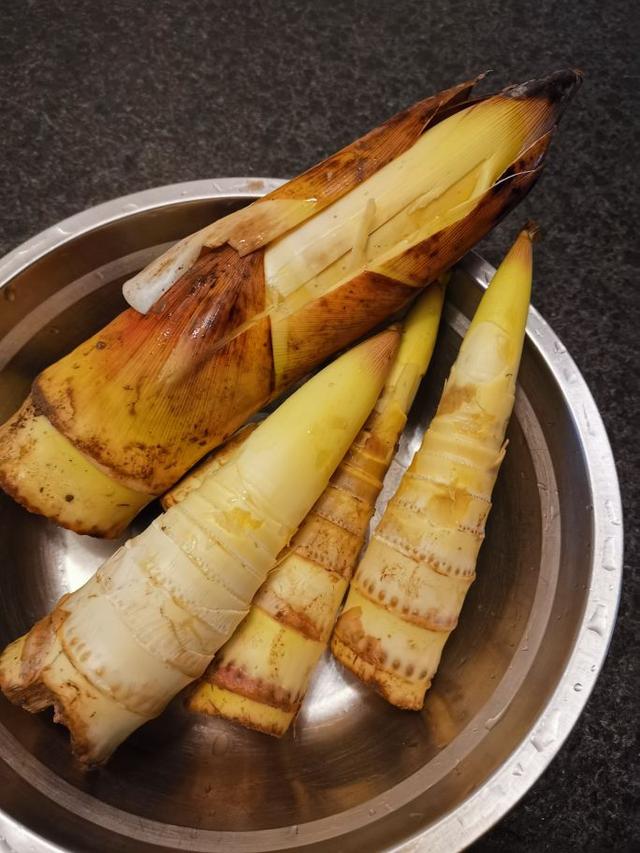 竹笋的做法，竹笋的做法大全家常做法视频（竹笋的家常做法）