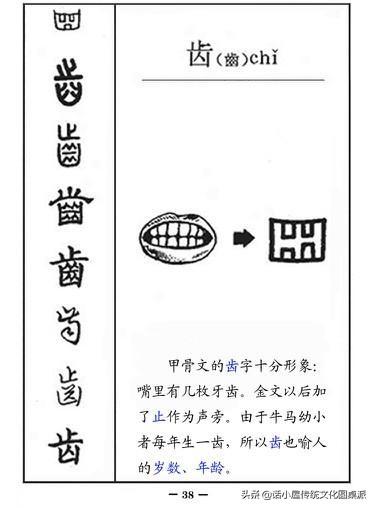 甲骨文的演变过程，甲骨文经过3千年演变过程（从字源到甲骨文、金文、小篆再到楷书、行书的过程）