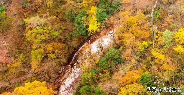 金寨县旅游景点，金寨县旅游景点线路图（有个“有意思”的景区）