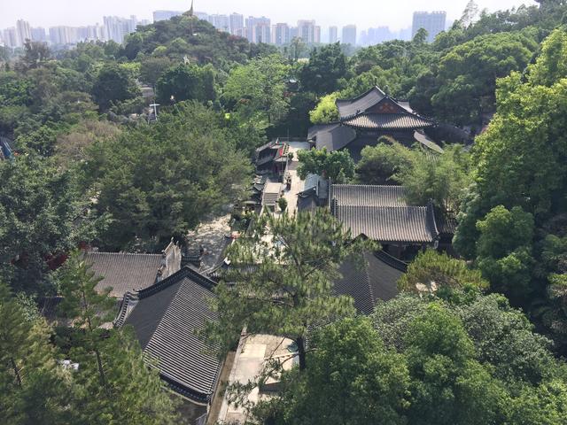 隐贤山庄晚上要门票吗，隐贤山庄晚上要门票吗现在（隐贤山庄，东莞的网红旅游景区）