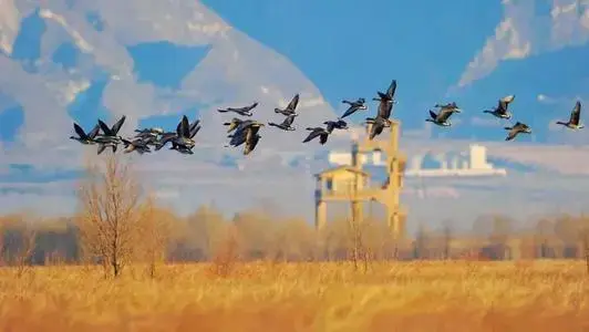 京郊度假村，北京度假村哪里好玩（10个京郊度假胜地，安利给你）