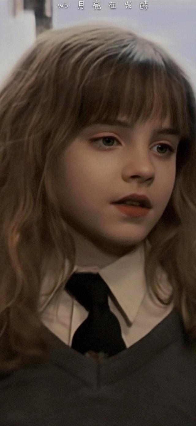 赫敏·格兰杰小天使［哈利.波特］，哈利波特女主角赫敏格兰杰（小赫敏感觉毛茸茸的图片）