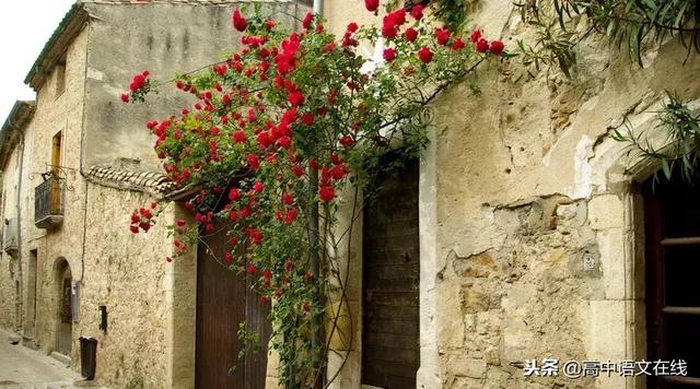 古诗十九首翻译，古诗十九首全集（把民国情诗“翻译”成古诗词）