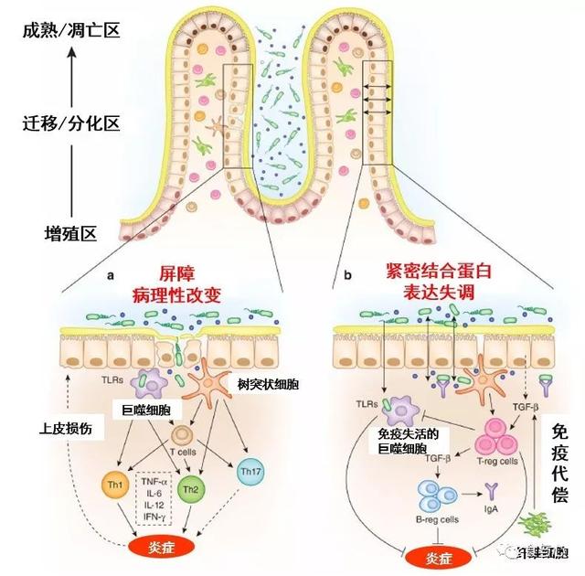 sfb是什么意思，sfnb是什么意思（你必须知道的热知识<二>）