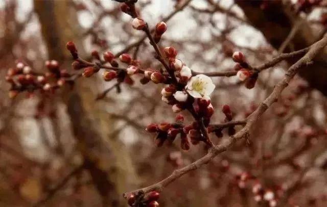 阜怎么读，阜怎么读什么意思（新疆16个最容易读错的地名）