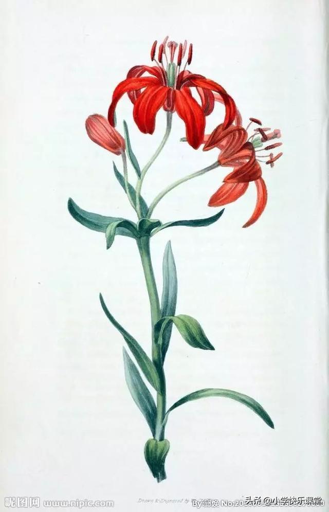 秃宝盖加几念什么字，秃宝盖加几（这些记生字的儿歌太有趣了）