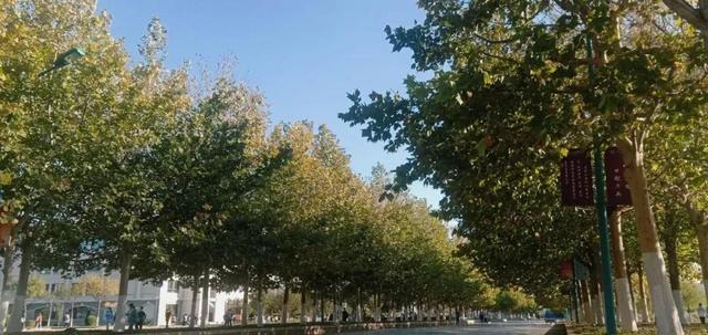 南开大学滨海学院是几本，南开大学滨海学院排名多少是几本（<一>南开大学滨海学院）