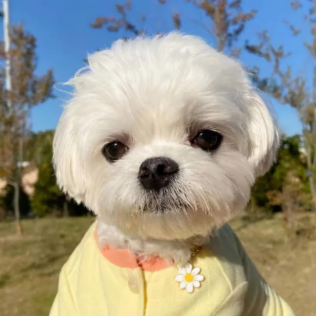 好看闺头♡，微信头像，好看闺头♡（一组超好看的闺蜜头像集）