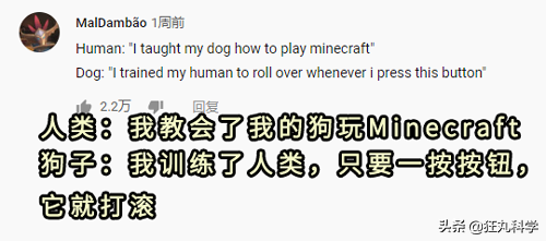我的世界狗怎么驯服，网友教自家狗子玩《我的世界》