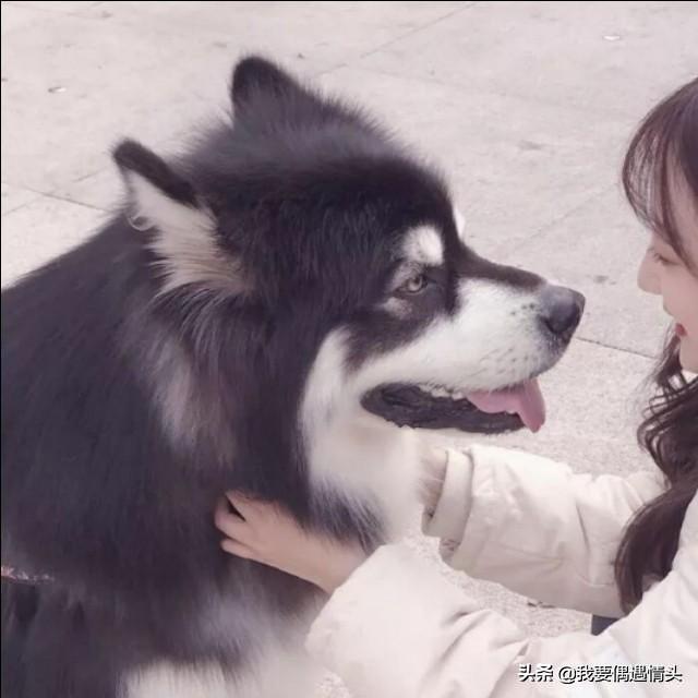 小众情侣头像微信，小众情侣头像（分享一波小众情侣头像）