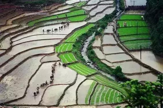 万峰伊甸园,万峰伊甸园信箱mp3关于颐和园(广西这条最美边境公路) 万峰伊甸园,万峰伊甸园信箱mp3关于颐和园(广西这条最美边境公路)
