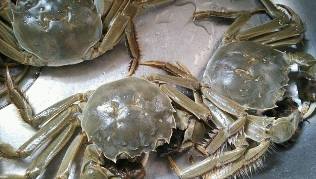 豆腐蟹肉忌廉汤，蟹肉豆腐煲的做法窍门（最爱的蟹黄和豆腐碰撞）