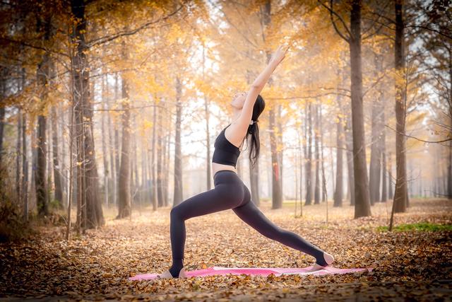 郯城银杏林在哪，郯城银杏林在哪个村（遇见2020年最后一抹秋色）