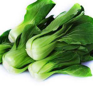 油菜的功效与作用，油菜的功效与作用禁忌（蔬菜篇－《油菜》）